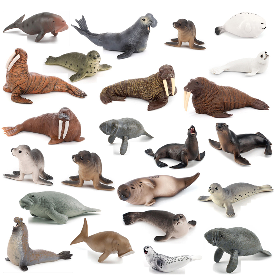 Kids Educational Gadget - Realistische Dugong Manatee Walrus Zeeleeuw Zeehond