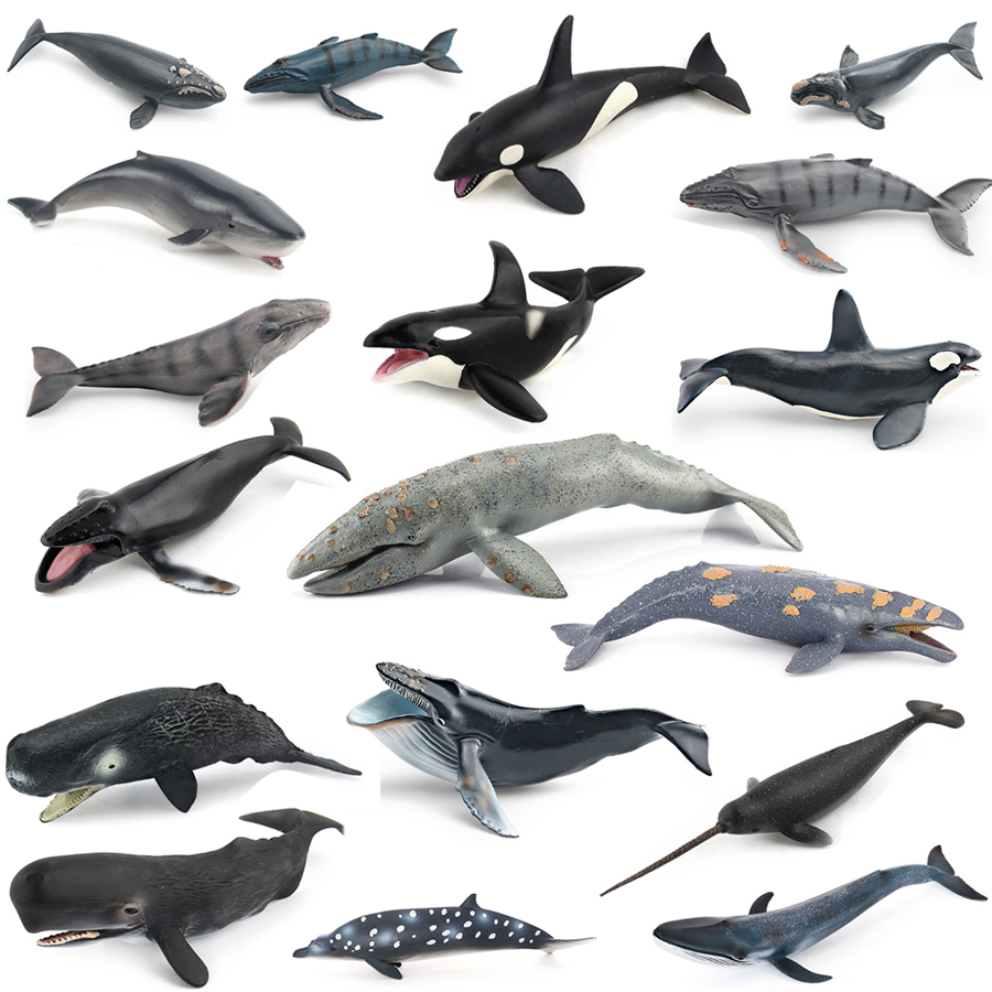 Kids Educational Gadget - Realistische Bultrugwalvis Spermawalvis Narwal Orka Zeeleven