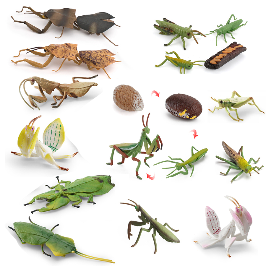Kids Educational Gadget - Realistische Orchidee Mantis Dode Blad Mantis