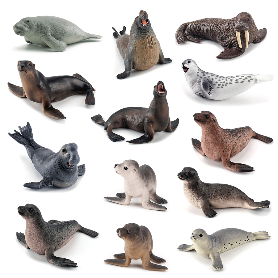 Realistische Dugong Manatee Wa - Kids Educational Gadget recensie en prijs