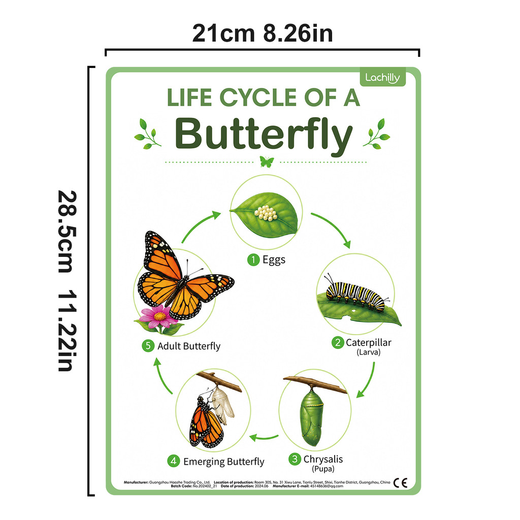 8-delige educatieve posters ov - Kids Nature Education recensie en prijs