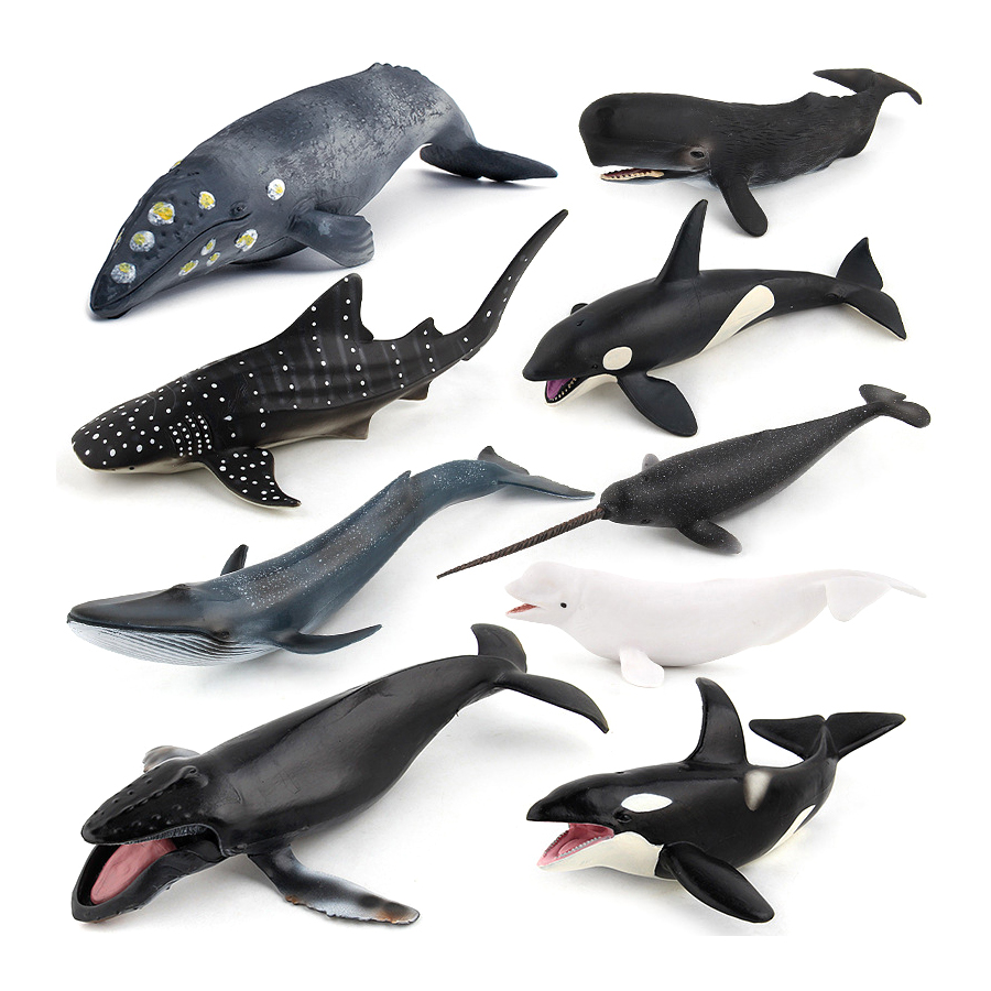 Realistische Bultrugwalvis Spe - Kids Educational Gadget recensie en prijs