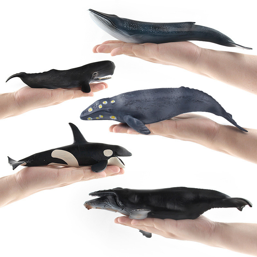 Realistische Bultrugwalvis Spe - Kids Educational Gadget recensie en prijs