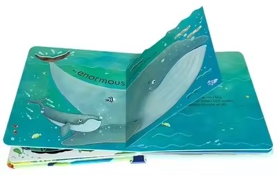 Usborne Peep Inside The Sea Ed - Kids Nature Education recensie en prijs