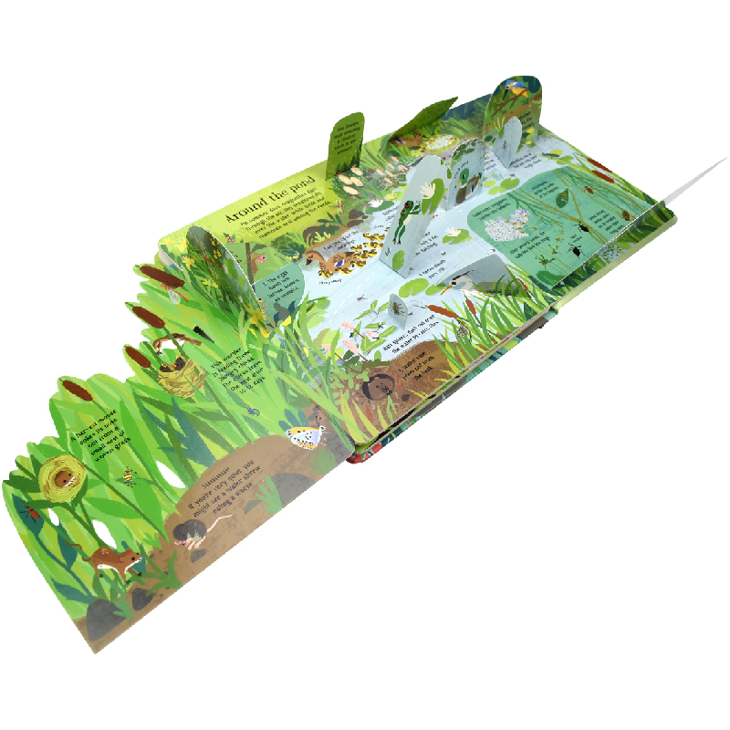 Engels Montessori 3D Usborne L - Kids Nature Education recensie en prijs