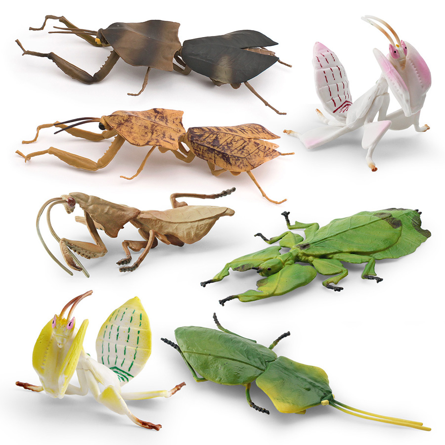 Realistische Orchidee Mantis D - Kids Educational Gadget recensie en prijs