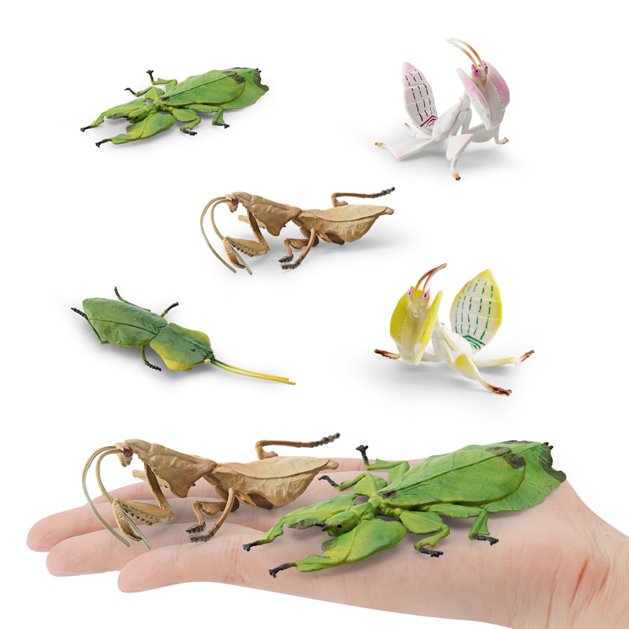 Realistische Orchidee Mantis D - Kids Educational Gadget recensie en prijs