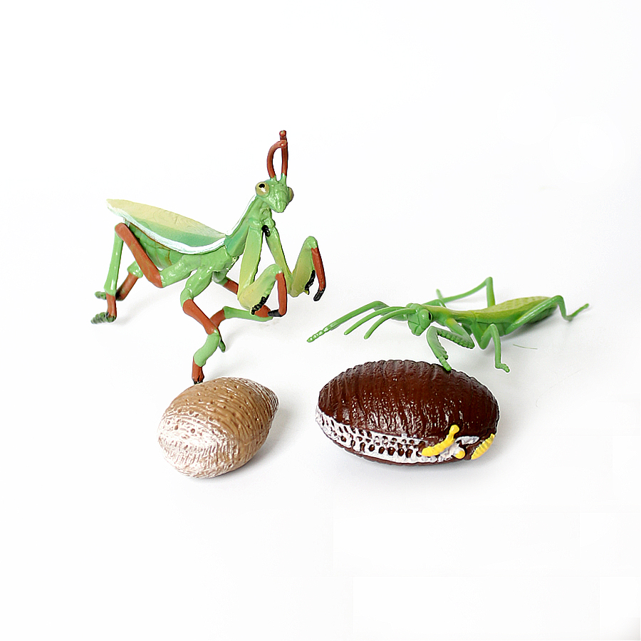 Realistische Orchidee Mantis D - Kids Educational Gadget recensie en prijs